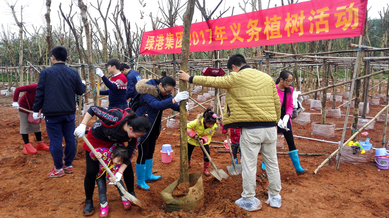 百乐森林舞会(中国游)官方网站