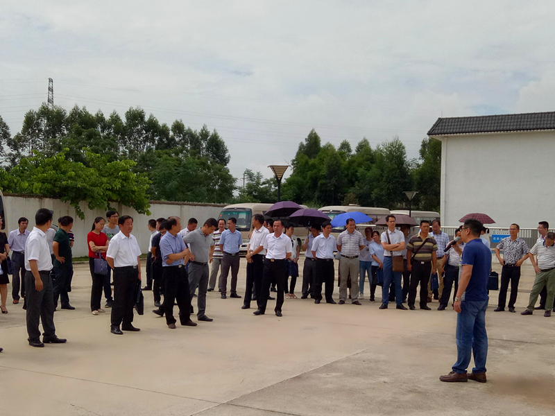 百乐森林舞会(中国游)官方网站