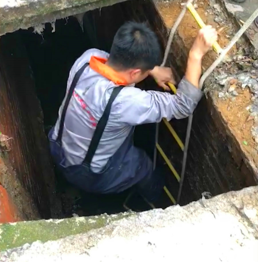 百乐森林舞会(中国游)官方网站