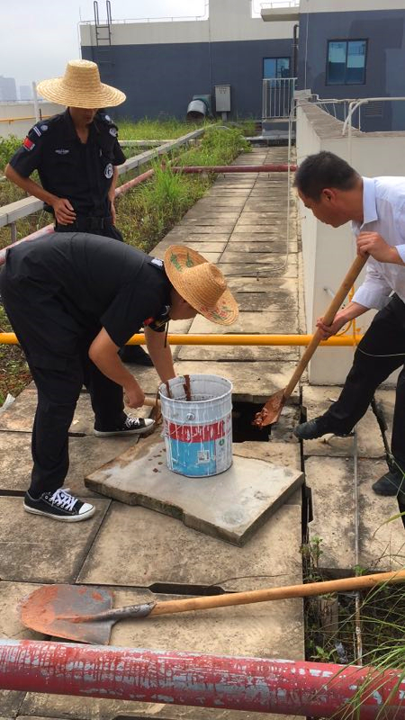 百乐森林舞会(中国游)官方网站