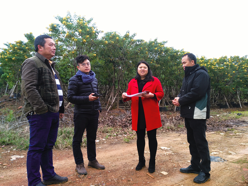 百乐森林舞会(中国游)官方网站