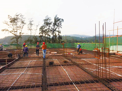 百乐森林舞会(中国游)官方网站