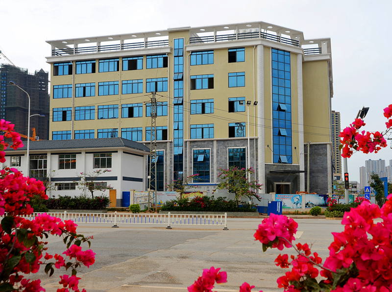 百乐森林舞会(中国游)官方网站