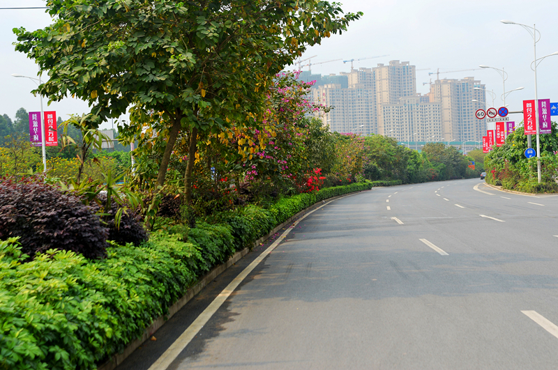 百乐森林舞会(中国游)官方网站