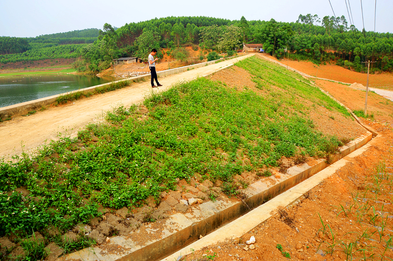 百乐森林舞会(中国游)官方网站