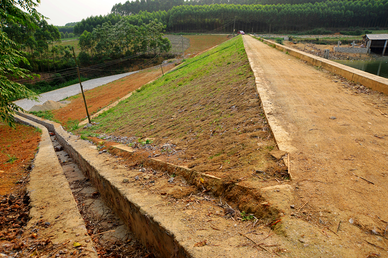 百乐森林舞会(中国游)官方网站