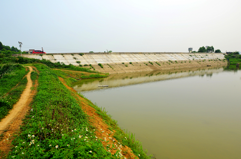 百乐森林舞会(中国游)官方网站