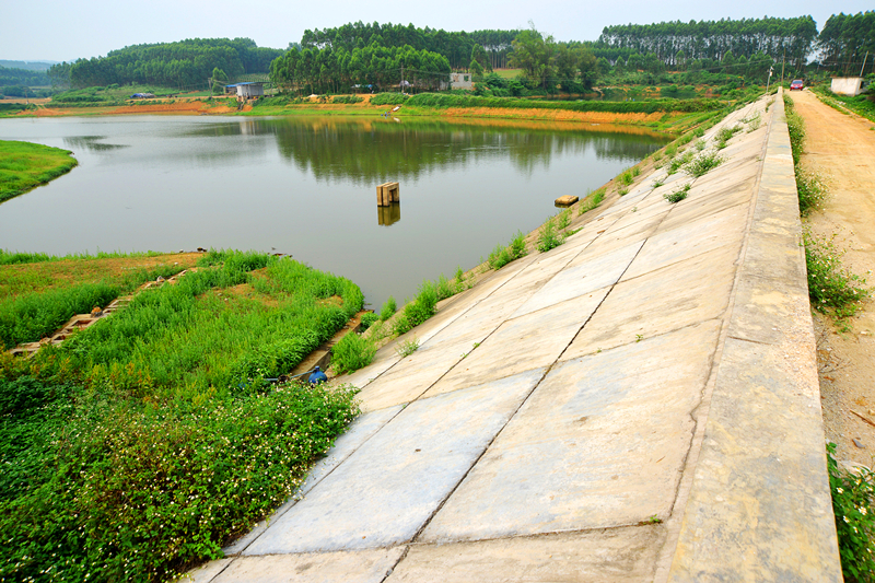 百乐森林舞会(中国游)官方网站