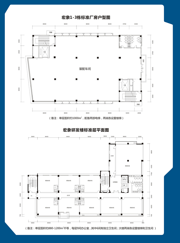 百乐森林舞会(中国游)官方网站