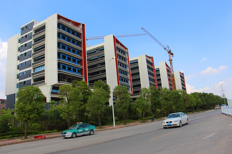 百乐森林舞会(中国游)官方网站