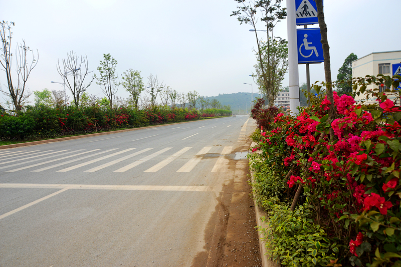 百乐森林舞会(中国游)官方网站