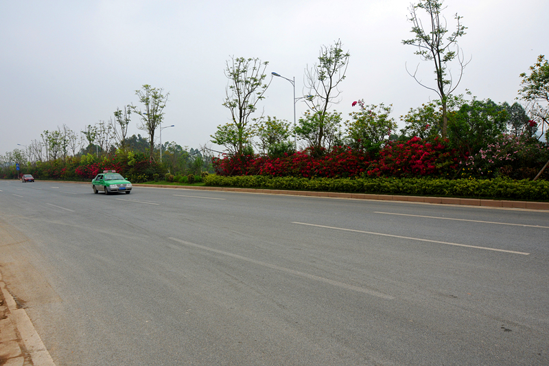 百乐森林舞会(中国游)官方网站