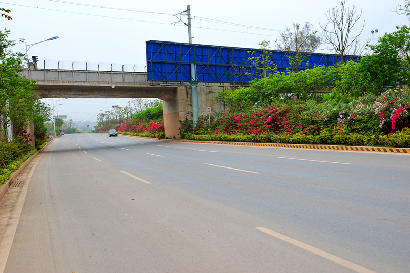 百乐森林舞会(中国游)官方网站