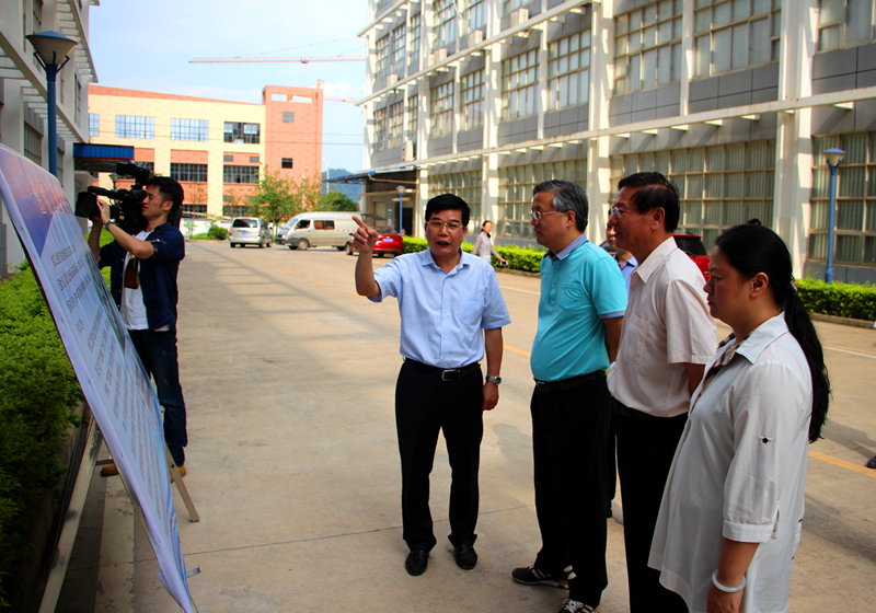 百乐森林舞会(中国游)官方网站