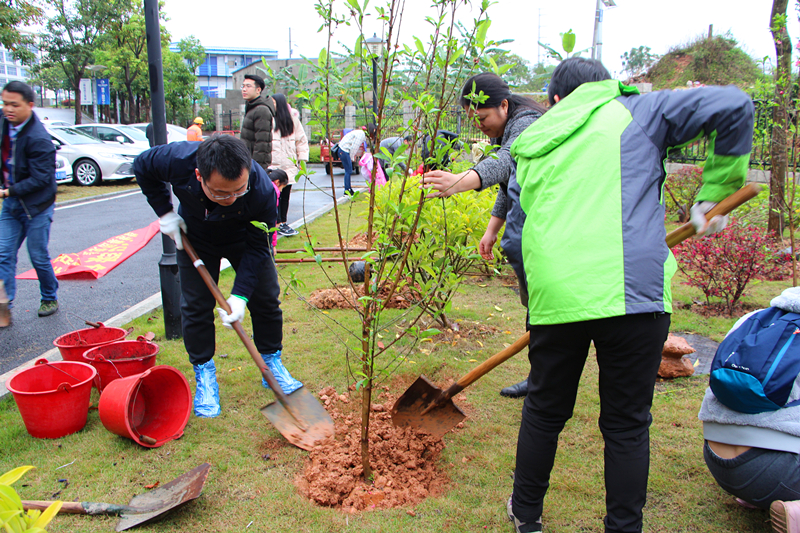 百乐森林舞会(中国游)官方网站