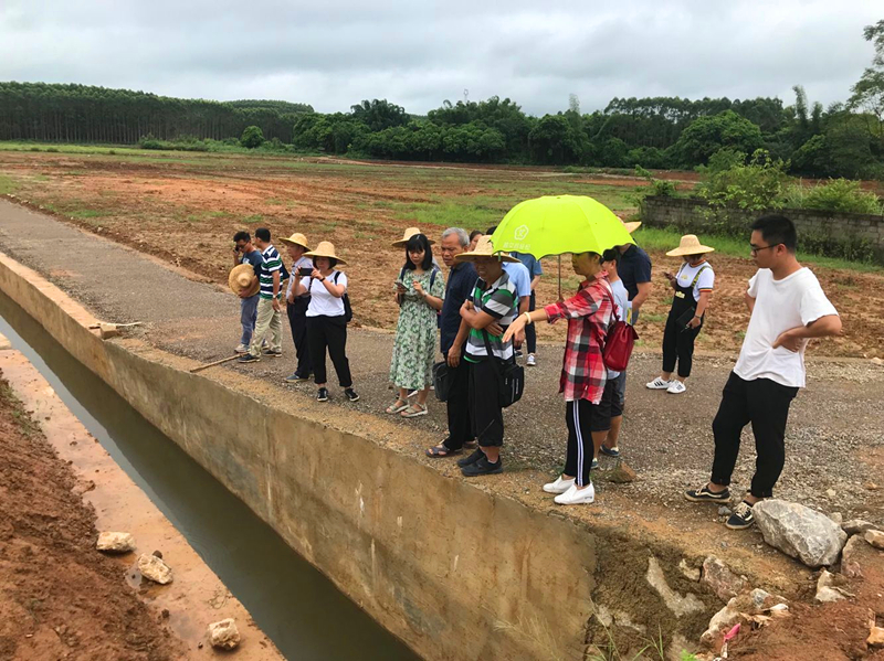 百乐森林舞会(中国游)官方网站