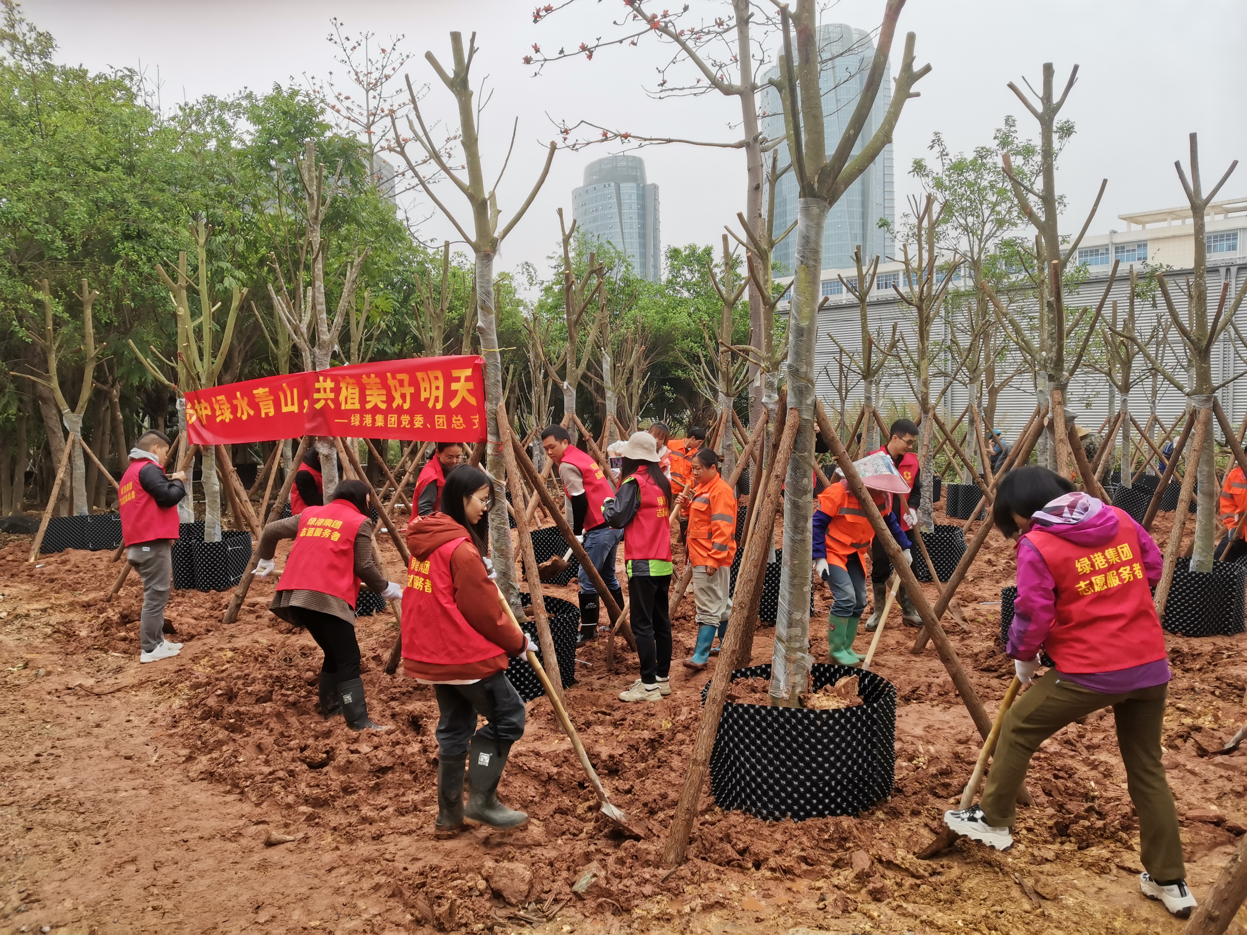 百乐森林舞会(中国游)官方网站
