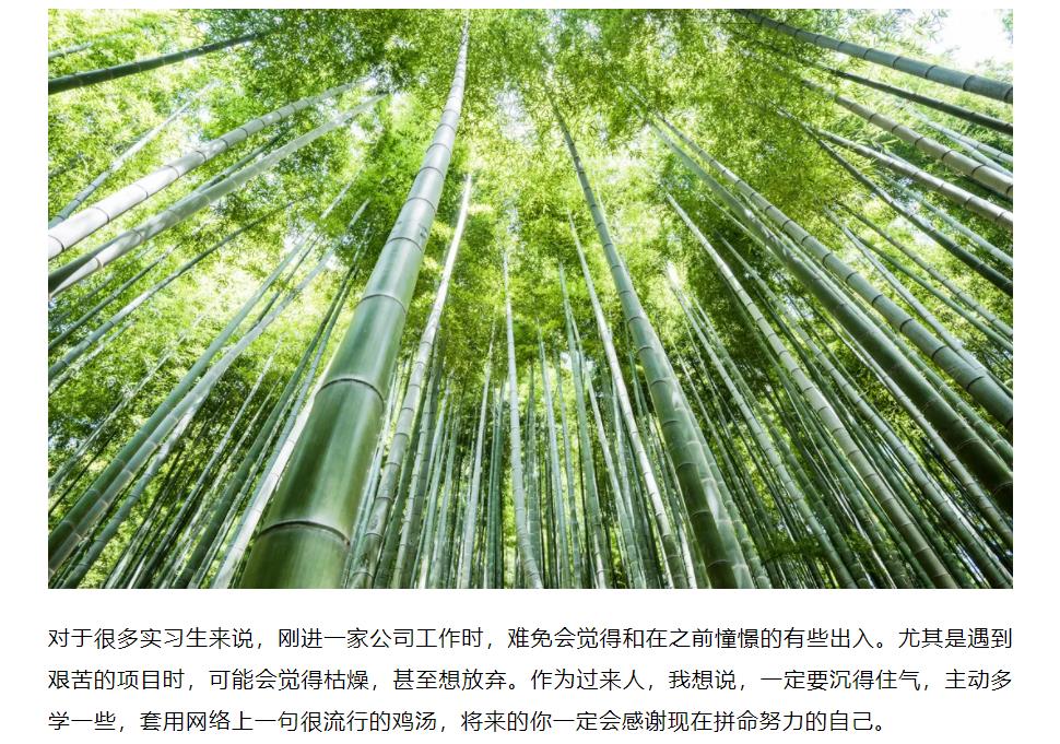 九五至尊VI-老品牌值得信任!